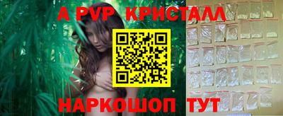 стафф Будённовск