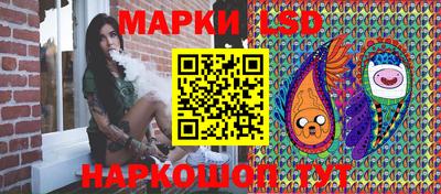 стафф Будённовск