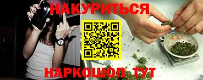 стафф Будённовск