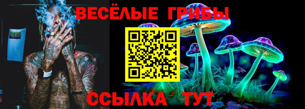 Псилоцибиновые грибы GOLDEN TEACHER  Вход с VPN  Заречный 