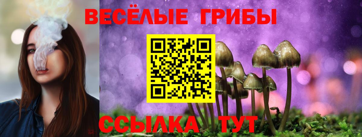 Галлюциногенные грибы Magic Shrooms Заречный